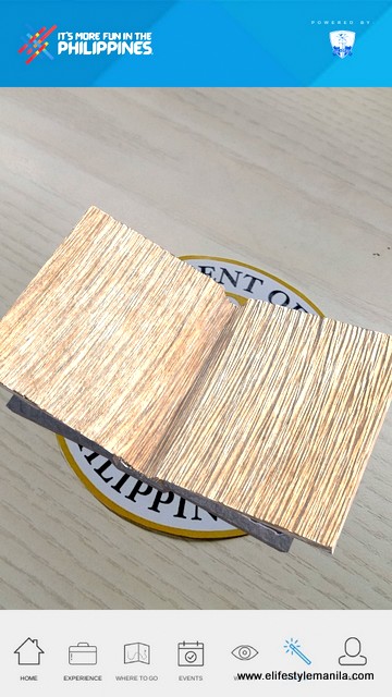 It's more fun in the Philipppines