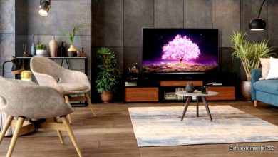 LG OLED TV and Dolby
