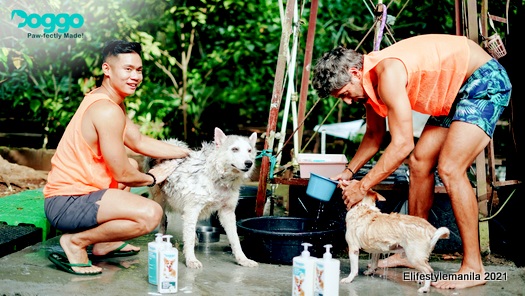 DOGGO with Nico Bolzico