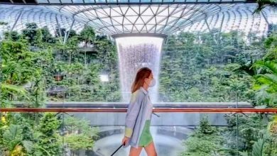 Singapore Tourism Board