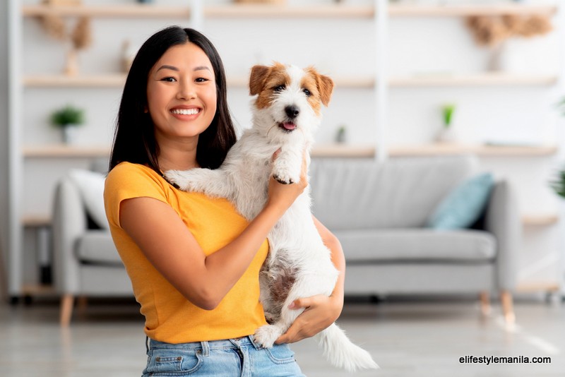 Pet Insure available via GCash GInsure marketplace