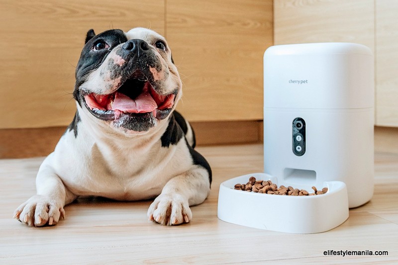 CHERRY Smart Pet Feeder