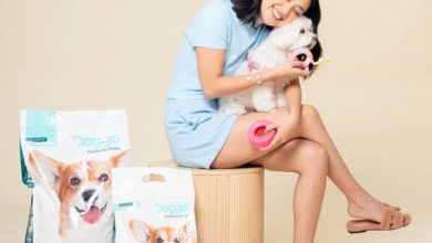 Doggo ambassador Rei Germar
